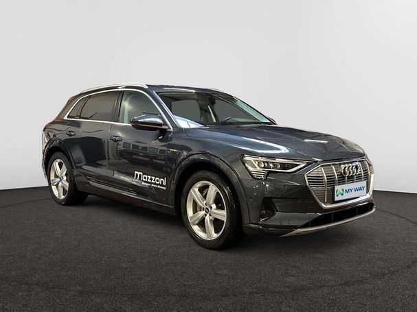 Audi e-tron 55 quattro Advanced 300 kW image number 13