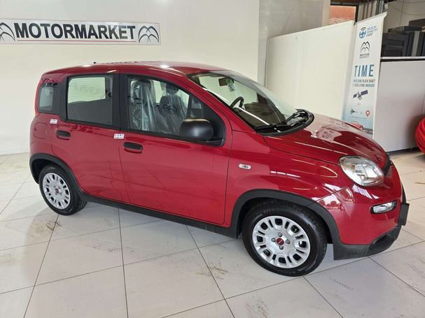 Fiat Panda 1.0 Hybrid 51 kW image number 2