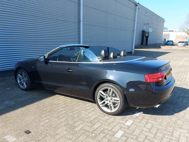 Audi A5 1.8 TFSI S-line Cabrio 125 kW image number 9