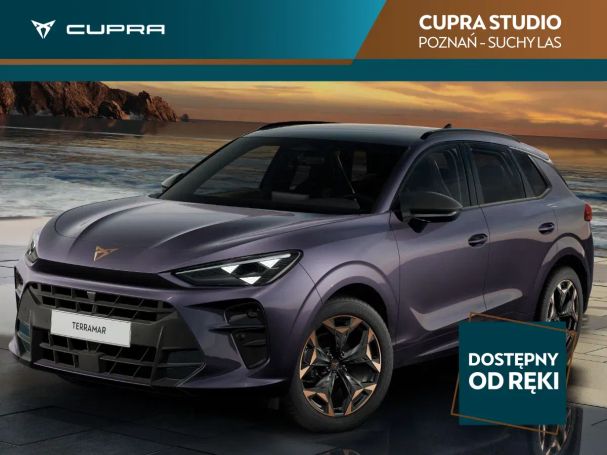 Cupra Terramar 110 kW image number 1