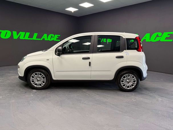 Fiat Panda 51 kW image number 4