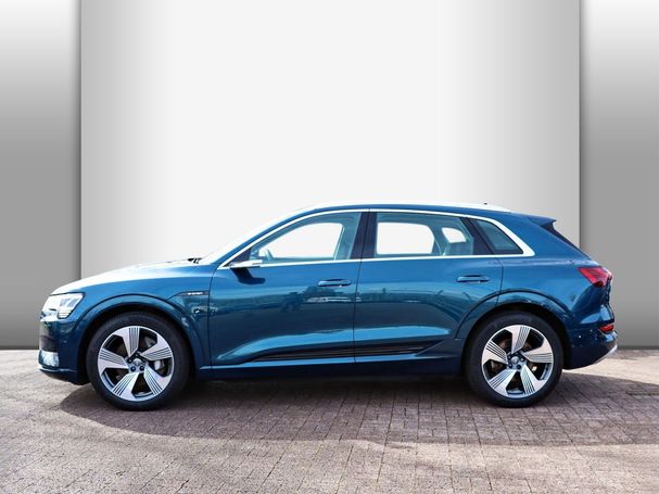 Audi e-tron 55 quattro Advanced 300 kW image number 3