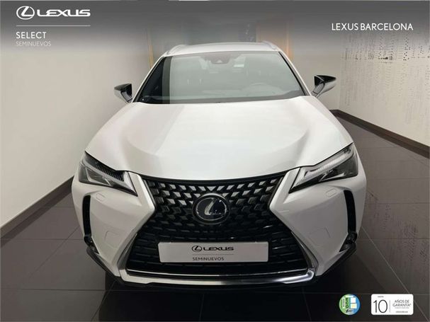 Lexus UX Business 135 kW image number 2