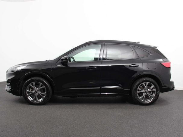 Ford Kuga 165 kW image number 5