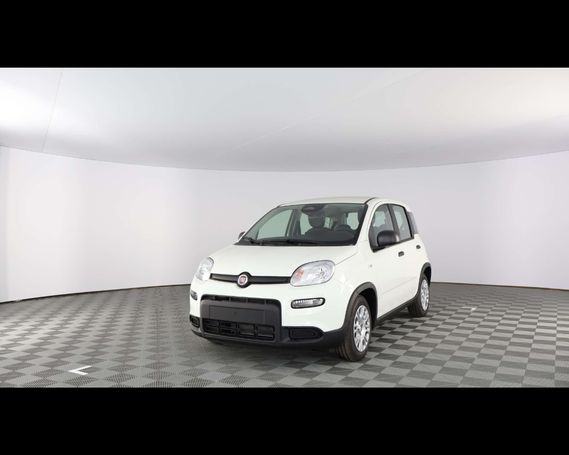 Fiat Panda 51 kW image number 2