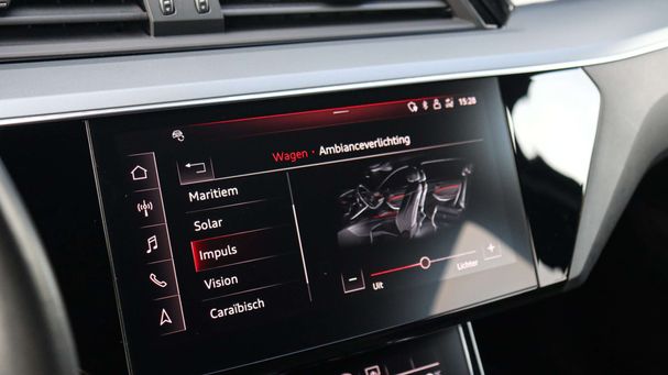 Audi e-tron 55 quattro 300 kW image number 28