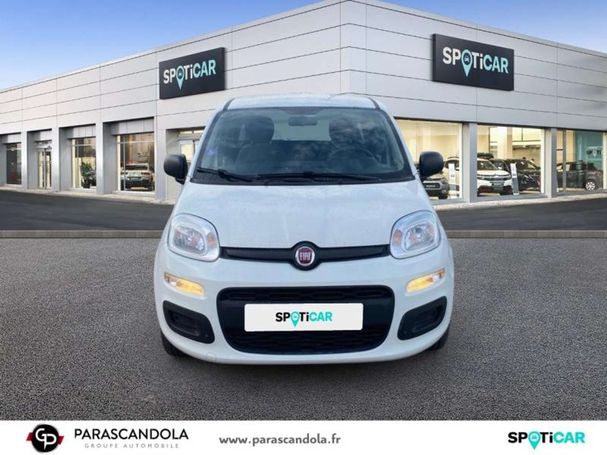 Fiat Panda 51 kW image number 5