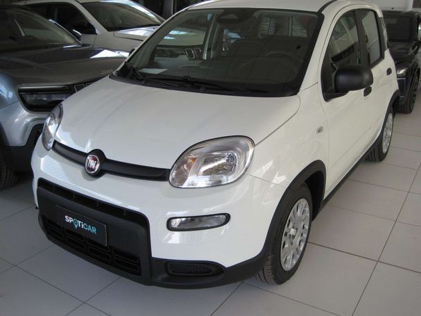 Fiat Panda 51 kW image number 1