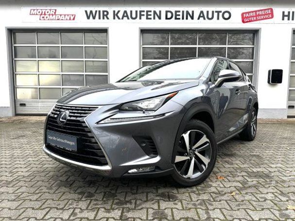 Lexus NX 300 H 145 kW image number 1