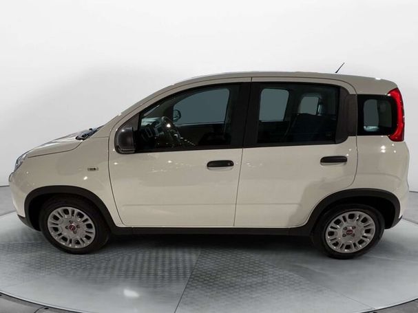 Fiat Panda 1.0 Hybrid 51 kW image number 5