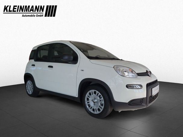 Fiat Panda 52 kW image number 2