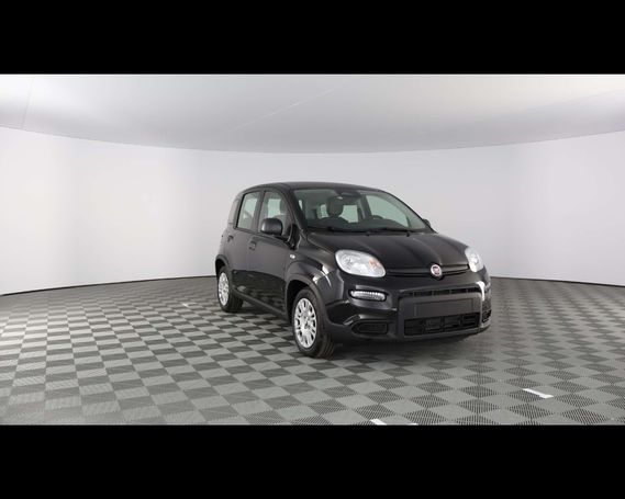 Fiat Panda 51 kW image number 4