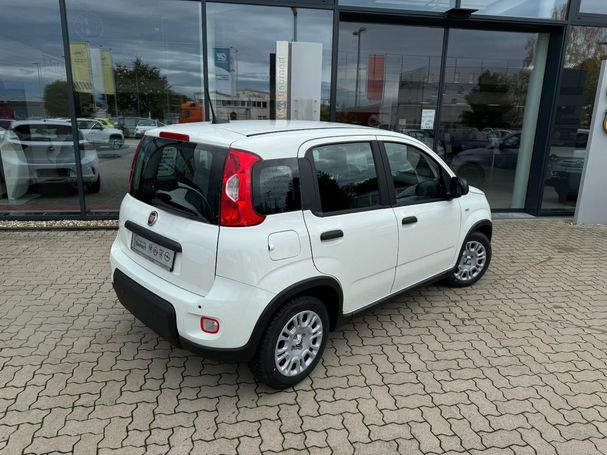 Fiat Panda 51 kW image number 3