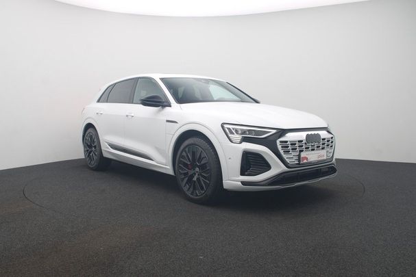 Audi Q8 50 quattro e-tron S-line 250 kW image number 6