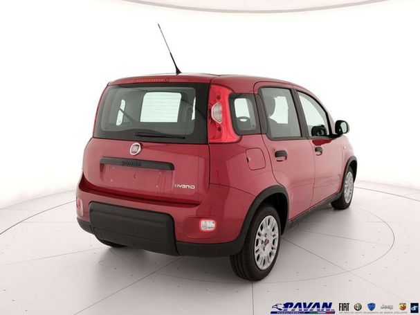 Fiat Panda 1.0 Hybrid 51 kW image number 3