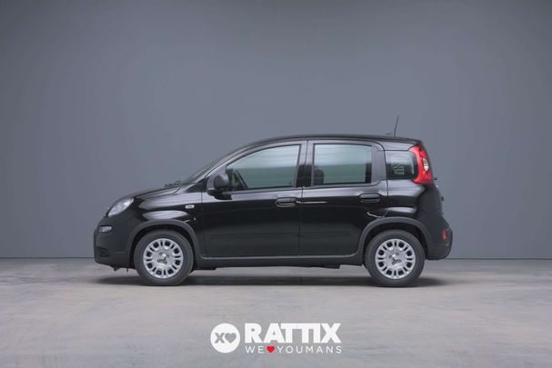 Fiat Panda 51 kW image number 3