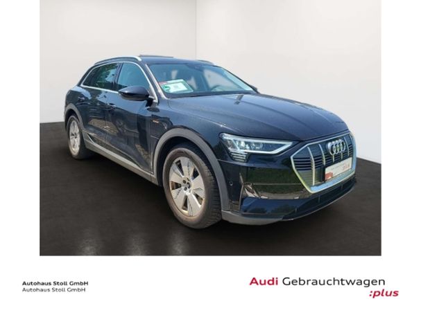 Audi e-tron 50 quattro 230 kW image number 2