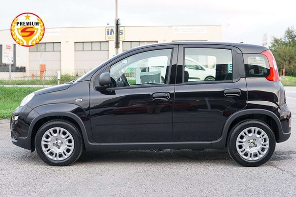 Fiat Panda 51 kW image number 5