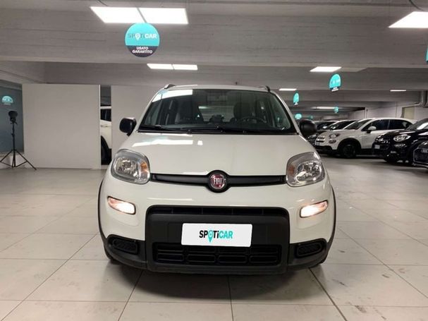 Fiat Panda 1.0 Hybrid City Life 51 kW image number 6