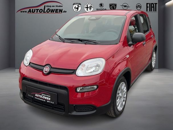 Fiat Panda 51 kW image number 1