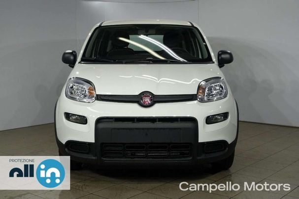 Fiat Panda 1.0 Hybrid 51 kW image number 2