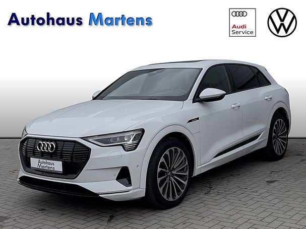 Audi e-tron 55 quattro Advanced 300 kW image number 1