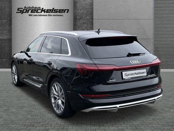 Audi e-tron 50 quattro S-line 230 kW image number 6