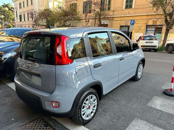 Fiat Panda 1.0 Hybrid 51 kW image number 7