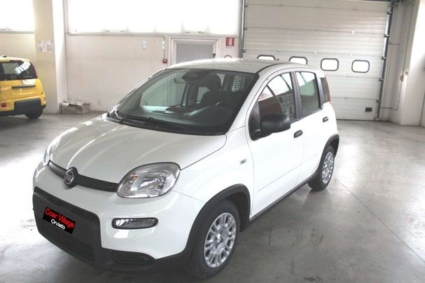 Fiat Panda 51 kW image number 1