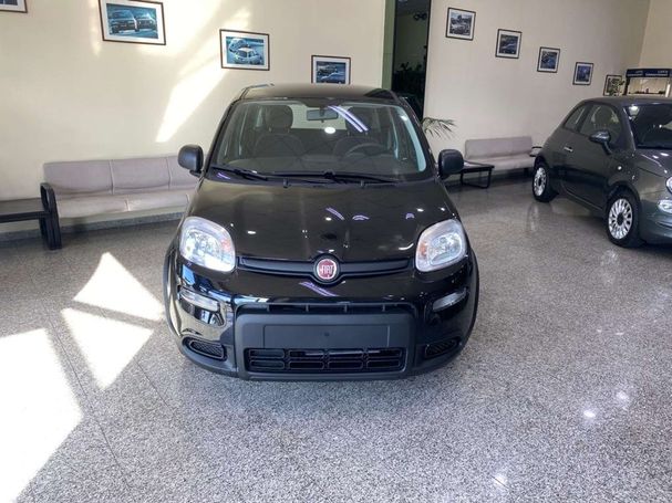 Fiat Panda 1.0 Hybrid 51 kW image number 1