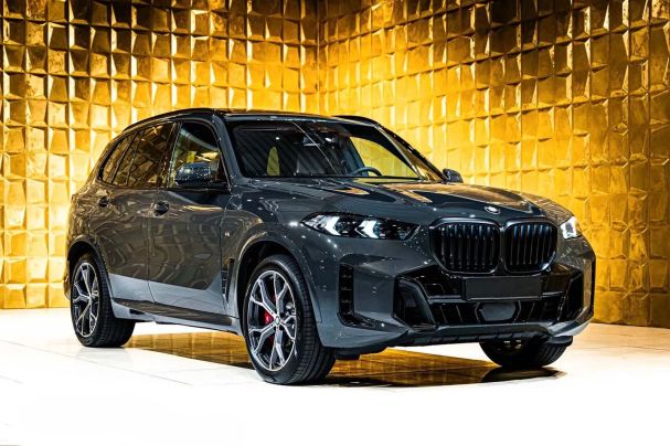 BMW X5 xDrive 220 kW image number 1