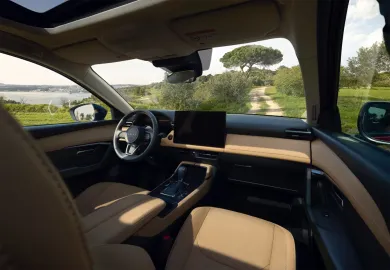 Car image 29