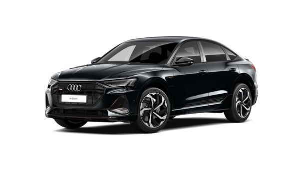 Audi e-tron 50 S-line 230 kW image number 1