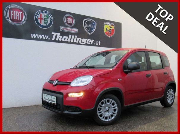 Fiat Panda 51 kW image number 2