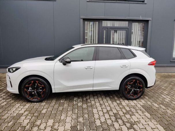 Cupra Terramar 1.5 eTSI 110 kW image number 5