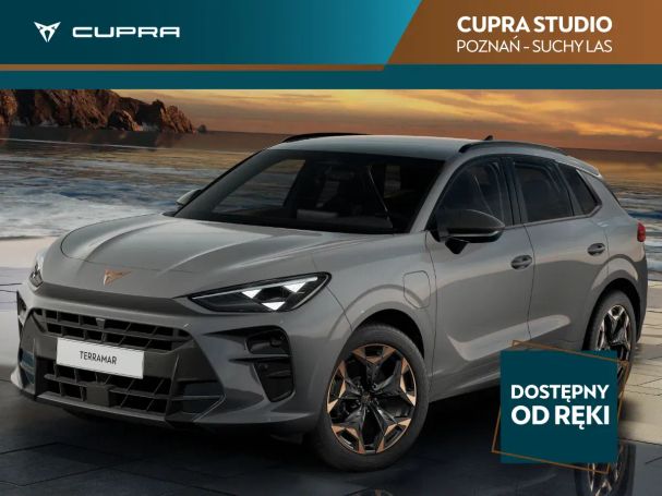 Cupra Terramar 110 kW image number 1