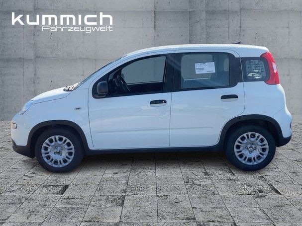 Fiat Panda 51 kW image number 6