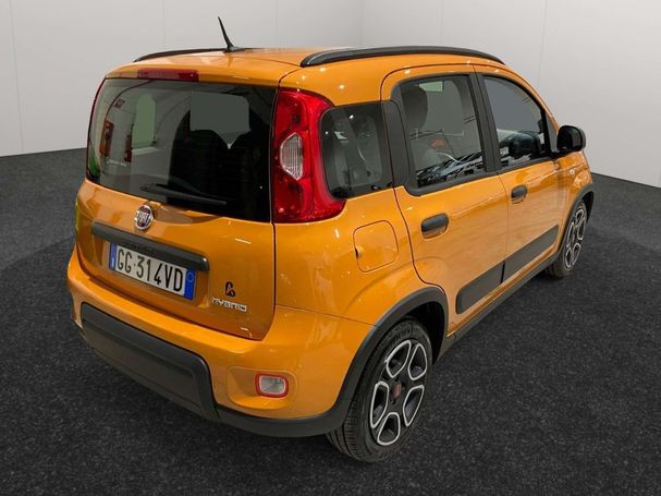 Fiat Panda 1.0 Hybrid City Life 51 kW image number 5