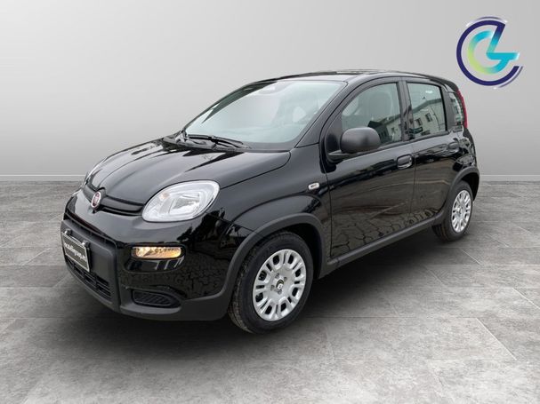 Fiat Panda 51 kW image number 1