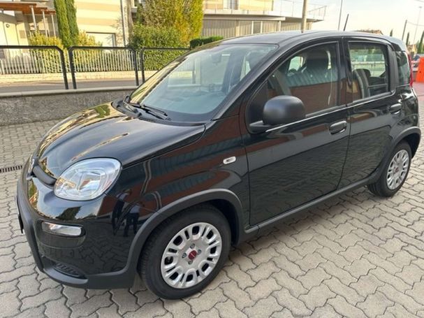 Fiat Panda 51 kW image number 1