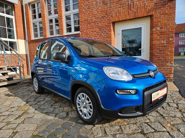 Fiat Panda 51 kW image number 2