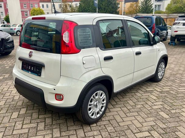 Fiat Panda 51 kW image number 4