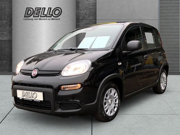 Fiat Panda 51 kW image number 1