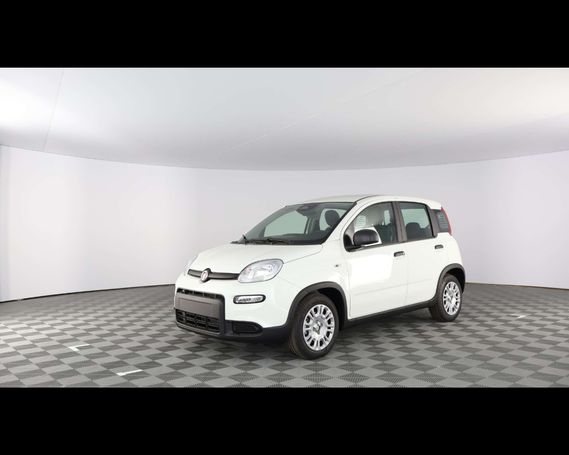 Fiat Panda 51 kW image number 1