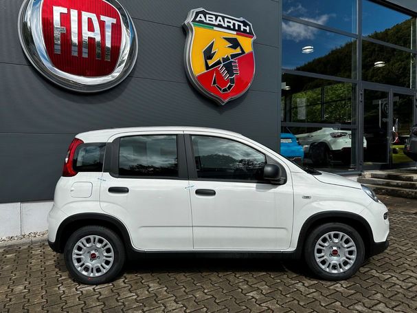 Fiat Panda Hybrid 51 kW image number 3