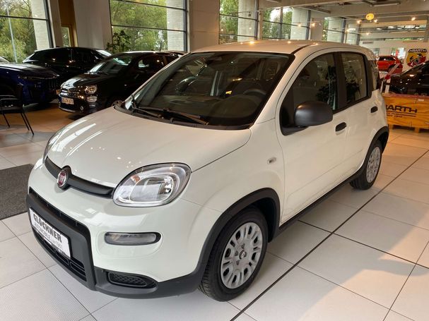 Fiat Panda 51 kW image number 1