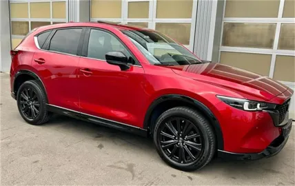 Car image 4