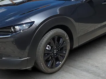Car image 25