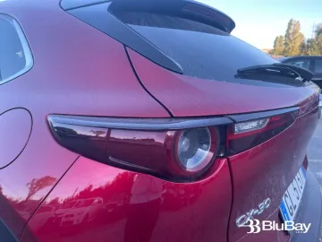 Car image 29