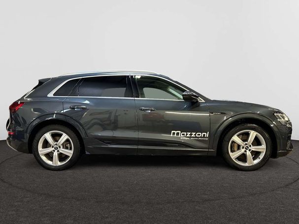 Audi e-tron 55 quattro Advanced 300 kW image number 16